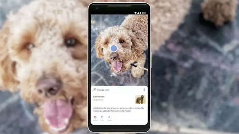 Google Lens, Artık Bağımsız Bir Uygulama Oldu!